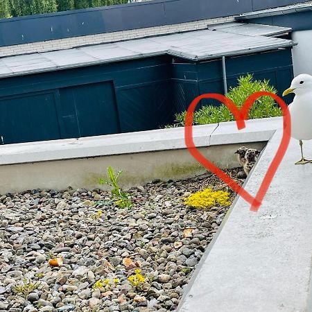 Apartment Moevenkoje Fuer 1-2 Personen Mit Pool ダーメ エクステリア 写真